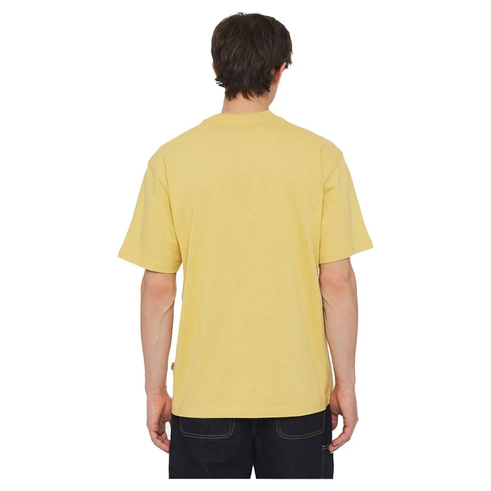 DICKIES LURAY POCKET FALL LEAF | CAMISETA CASUAL CON BOLSILLO